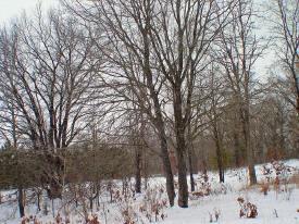 wisconsin land for sale