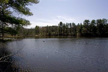 friendship lake