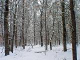 wisconsin land