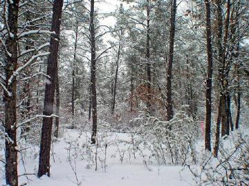 wisconsin land for sale
