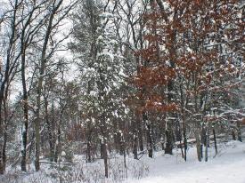 adams county