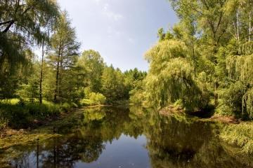 151 acres pond view