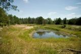pond view