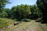 23 Acres Bighorn Ave