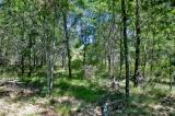 23 Acres Bighorn Ave