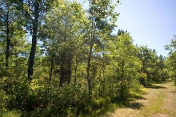 23 Acres Bighorn Ave