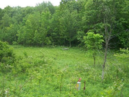 central wisconsin real estate in plymouth township