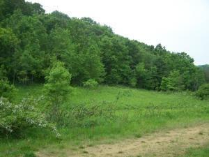 camp site for sale in Juneau County, wi