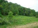 camp site for sale in Juneau County, wi