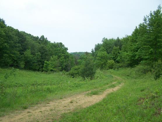cabin site for sale in Elroy WI.