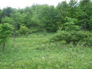 Central Wisconsin Deeded Lake Access To Alpine Hills Lake