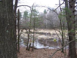 prime Wisconsin hunting land for sale with wildlife pond