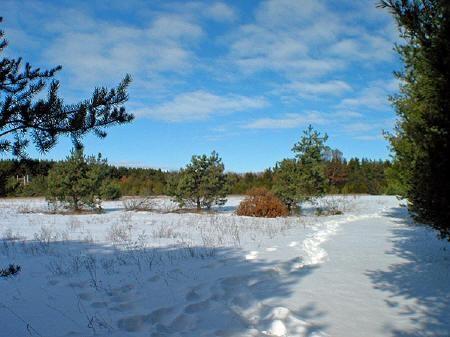 Abutting Wisconsin Public Land