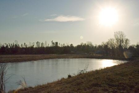 acreage with pond