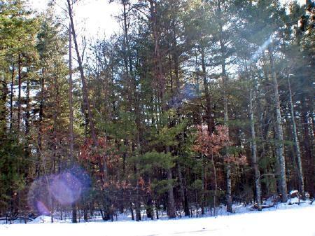 Public Land