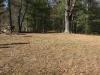 crystal brook woods
