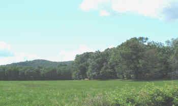 acreage for sale by adams friendship wisconsin