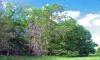 areage for sale by friendship lake