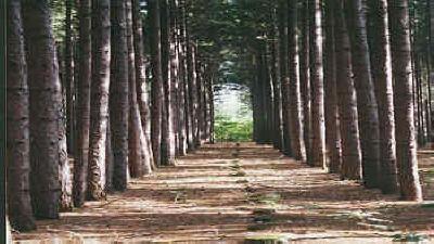 Fortham Creek, Wisconsin Land for Sale