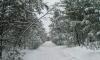 3 acres