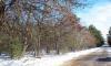 close to Lake petenwell