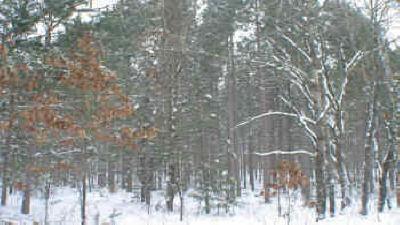 5 acres close to lake