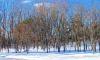 deeded lake access