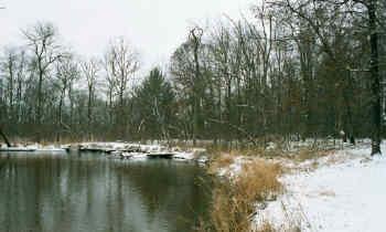 Waterfront on Big Roche-A-Cri Creek