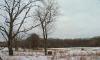 acreage for sale