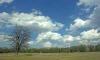 wisconsin land
