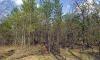 abuts public land