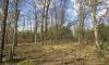public land