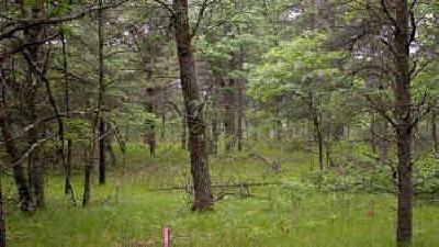wooded acreage