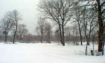 cabin site