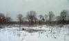 cabinsite