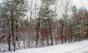 adams county