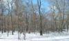 richfield township