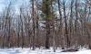 deeded frontage
