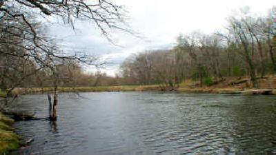 the dells