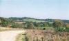 alpine wisconsin