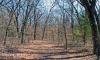 acreage for sale