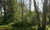 wooded lot for sales