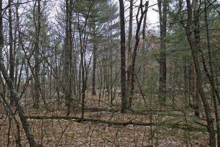 close to wisconsin dells