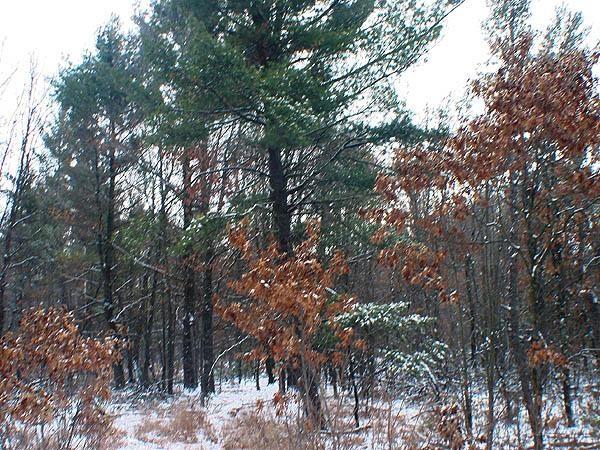 central wisconsin acreage