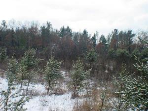 recreational haven near wisconsin dells