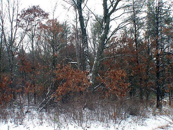 Wisconsin land for Sale
