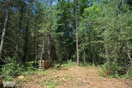 camp or build on waterfront property with deeded river access.