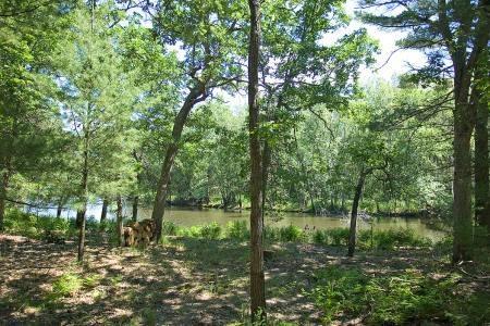 wooded lot near Wisconsin river