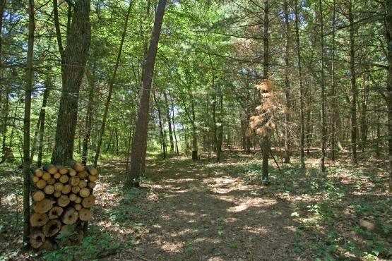 wooded acreage with deeded access to Lemonweir River