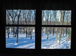 View from Masterbedroom 